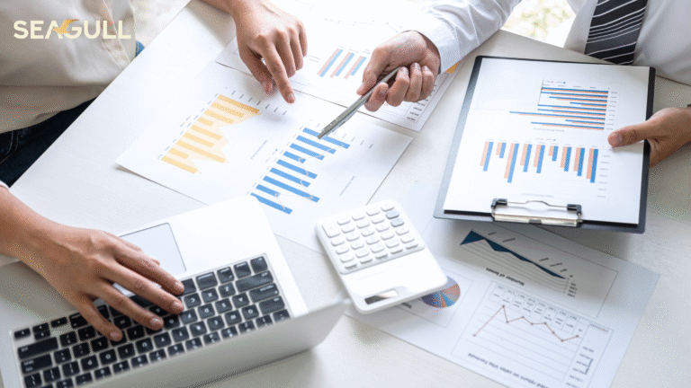 7 Strategic Outsourcing Solutions Offered by Seagull Advisors to Australian Accounting Firms