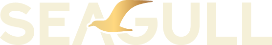 Seagull Advisors - Top Accounting Outsourcing Firms in Australia