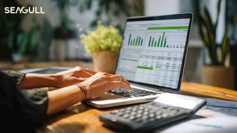 How Seagull Advisors Help Australian Accounting Firms Scale Without Increasing Overheads